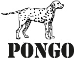 Pongo